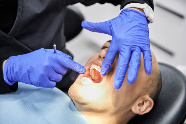 Best Holiday Emergency Dentist in South Haven, MI