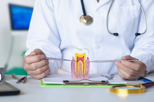 Best Broken or Cracked Tooth Emergency Dentist in South Haven, MI